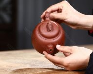 《靈龍納?！? title=