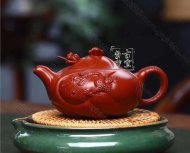 《魚化龍?zhí)捉M》