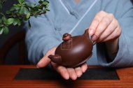 《一團和氣》宜興紫砂壺全手工泡茶壺工藝美術(shù)師大師紫泥