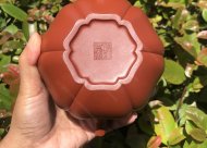 葵仿古；大紅袍450CC